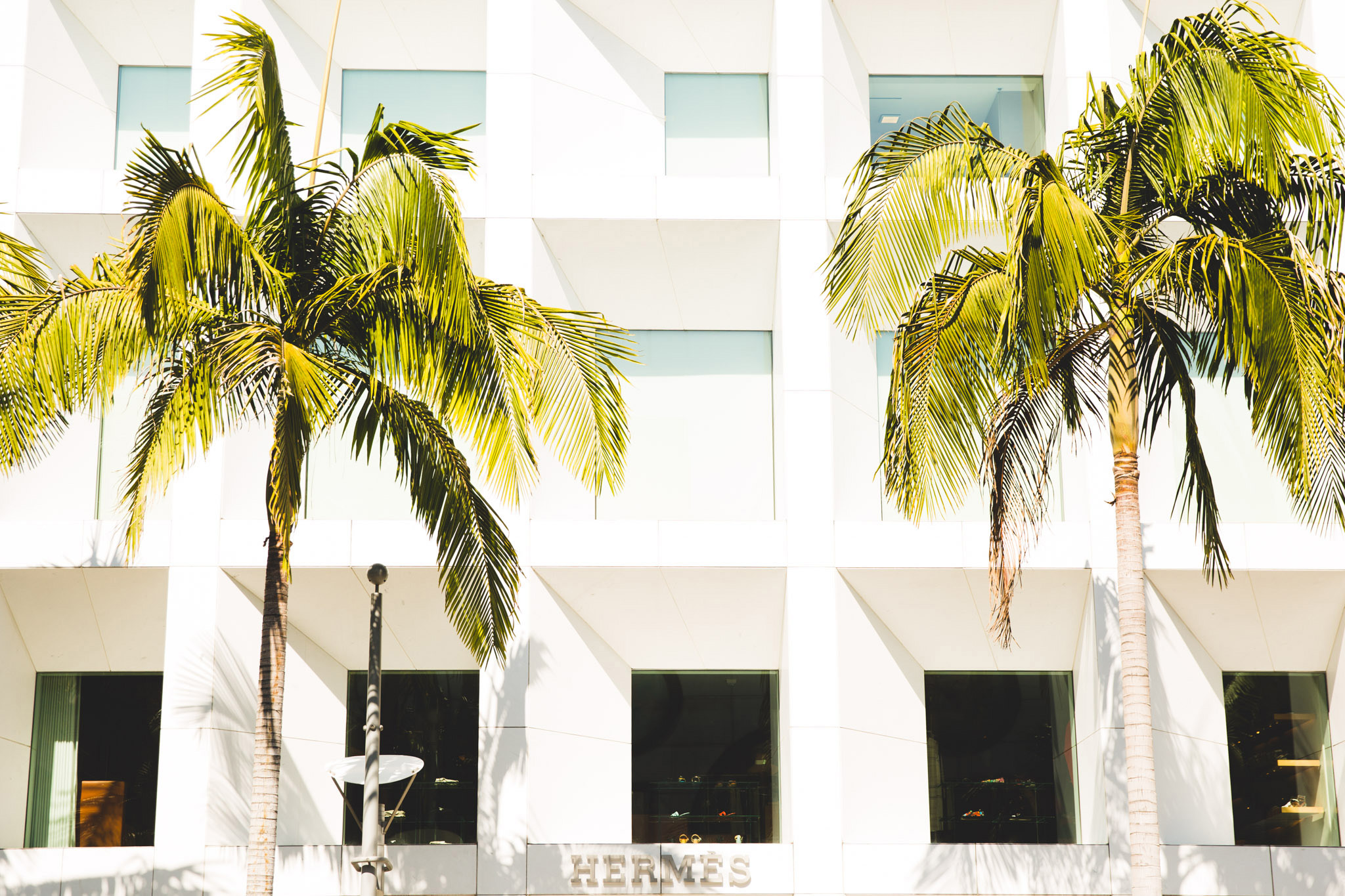 Rodeo Drive 7